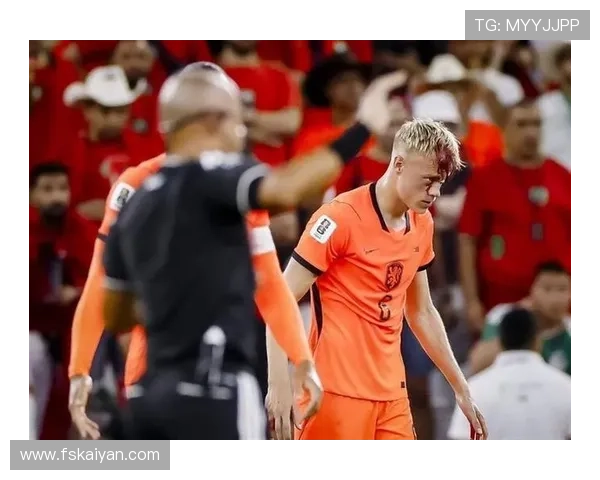 荷兰1-1摩洛哥赛后复盘：点球失利无缘世界杯16强